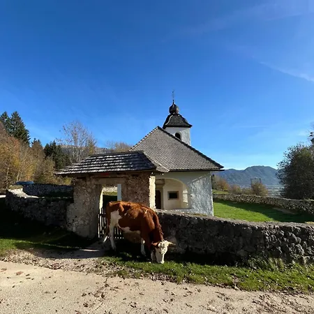 House Tinka Prázdninový dům