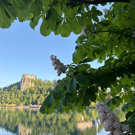 Prázdninový dům House Tinka