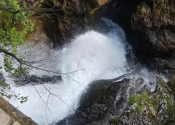 度假居 House Tinka 布莱德