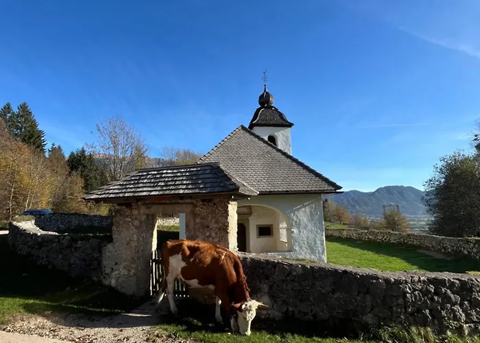 House Tinka 度假居