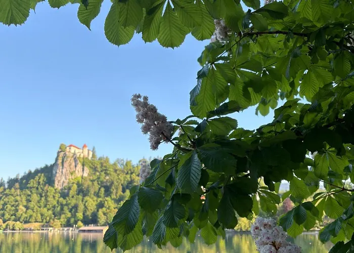 度假居 House Tinka